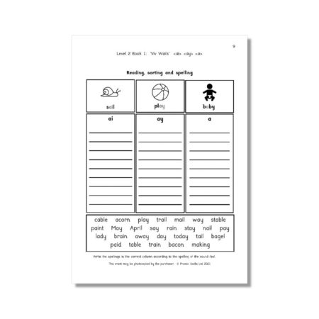 Dandelion Readers, Vowel Spellings, Level 2 Workbook (US Edition)