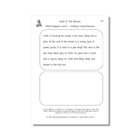 Dandelion Readers Vowel Spellings Level 3 Activities
