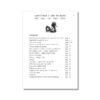 Dandelion Readers, Vowel Spellings, Level 3 Workbook (US Edition)